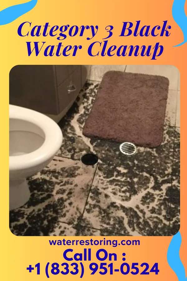 Category 3 Black Water Cleanup in Cookeville, TN