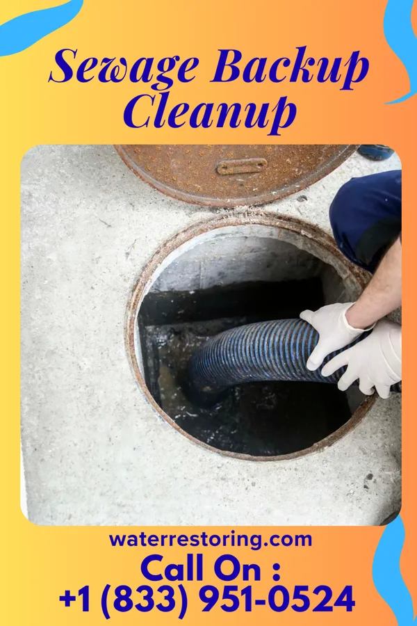 Sewage Backup Cleanup in Cookeville, TN